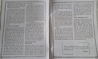 Artikel van Prabha Ma in IVS tijdschrift