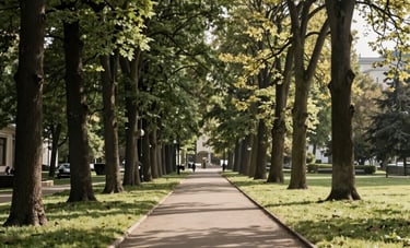 A wide, scenic view of a perfectly maintained public park in a Polish city. Tall, healthy trees line a clean pathway. Morning sunlight filtering through leaves. Scandinavian aesthetic of clean, organized greenery. Professional photography, taupe and soft green tones.