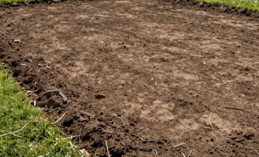 A professional wide shot of a cleared property in a North American suburban setting. The ground is clean and free of brush, showing neat soil borders and healthy green grass in the background under soft daylight.
