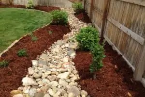 dry-creek-bed pic 16