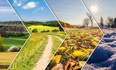 A landscape collage showing the transition of four seasons from spring and summer to autumn and winter.