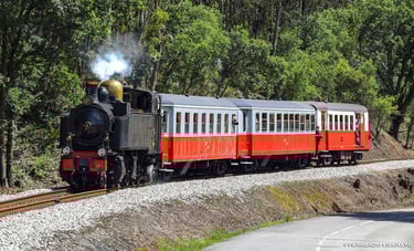 Comboio vapor Vouga napolitanas