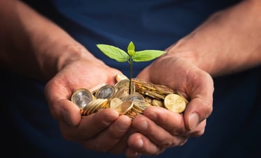 seed growth
