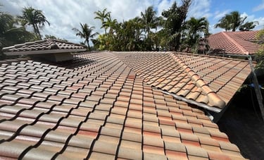 roof soft washing broward county fl