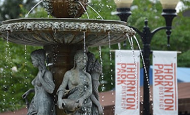 Orlando Downtown Thronton Park Flower Girl
