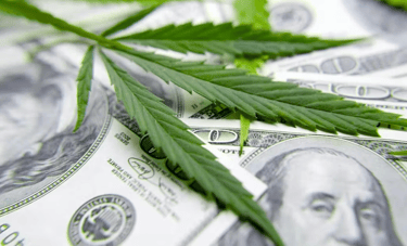 Cannabis businesses operating with cash due to U.S. banking restrictions