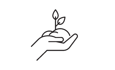 illustration of a hand holding a plant in soiil