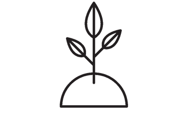 illustration of a sprouting plant in soil