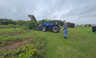 Fallen Tree Removal