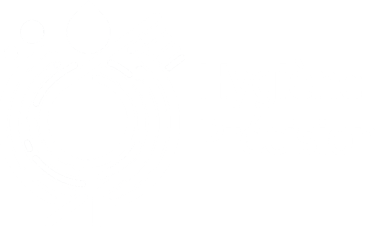 Logo hygiene-precision