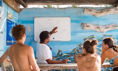 A scuba diving instructor points to a map on a whiteboard while briefing students for a whale shark excursion.