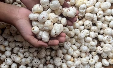 a person holding a hand full of of makhana