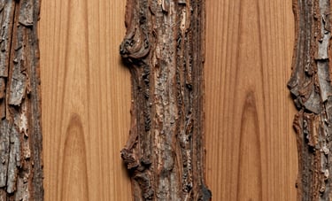 closeup photo of black and white artwork