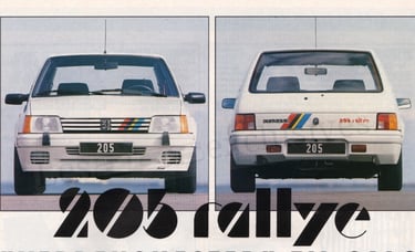 Peugeot 205 Rallye 1.9l Danemark