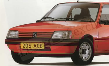 Brochure Peugeot 205 Ace