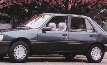 peugeot 205 Roland Garros 5 portes