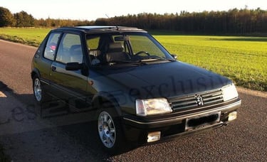 Peugeot 205 Gentry Danemark