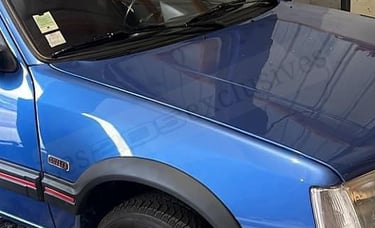 Peugeot 205 GTI Suisse