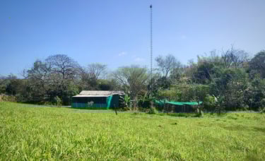 Kleines Grundstück in deutscher Siedlung wird zum Kauf angeboten, in Colonia Independencia, Paraguay