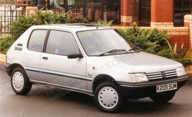 Peugeot 205 Zest