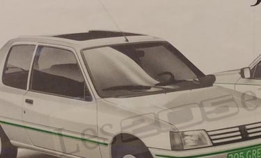 Affiche PEugeot 205 Green pays-bas