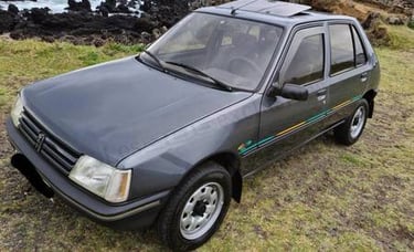 Peugeot 205 Color Line