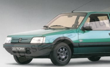 Brochure Peugeot 205 Trophy