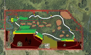 whitetail habitat property design