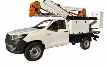 Pick up con cesta elevadora