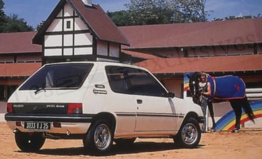 Peugeot 205 indiana 1991 