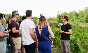 Oenotourisme au domaine