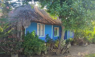 Maison authentique bleue Rio Cedro