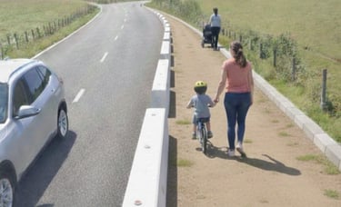 élections municipales fleurieux