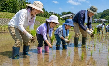 親子で田植え体験をしているイメージ画像|堺市のニュースならサカイタイムズ