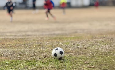 校庭にサッカーボールが置かれ背景に数人の子どもが写っている画像|堺市のニュースならサカイタイムズ