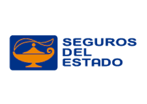 seguro-todo-riesgo-seguros-del-estado