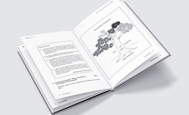 Diagramação completa de livro religioso