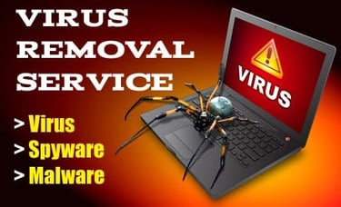 Professional virus removal service for PC malware and spyware protection.