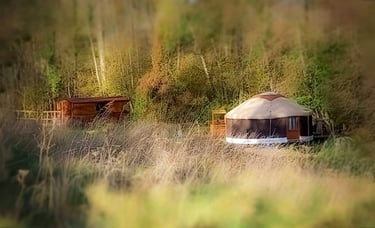 paysage verdoyant d'herbes et d'arbres, accès à la rubrique Camping des Alchimistes en Herbes