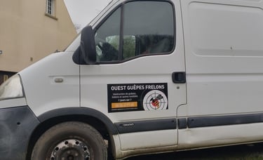 Un professionnel de la désinsectisation dans le Finistère