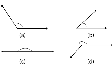 NAPLAN Year 5 Geometry