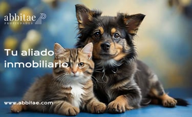 Un perro y un gato están sentados sobre un fondo azul.