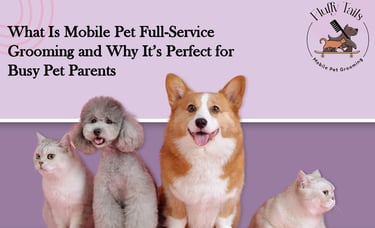 Why Mobile Pet Grooming Is Perfect for Busy Pet Parents