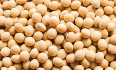 Soybeans rich in protein and heart-healthy compounds.