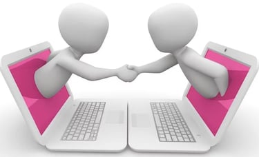 Internet consultations using the internet