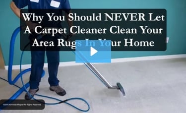 link to video why you should never let a carpet cleaner clean your area rugs in your home