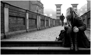 https://www.flickr.com/photos/lion_cami/5453447343/in/photostream/lightbox/