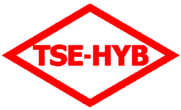 tse, tse belgesi, hyb belgesi, hyb belgesi almak, hyb belge almak, hizmet belgesi al