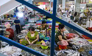 seamorny - vietnamese crab supplier