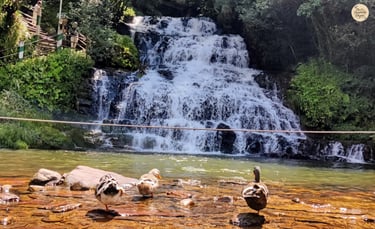 Third and final fall of Elephant Falls - the echoing heart of the forest of Meghalaya
